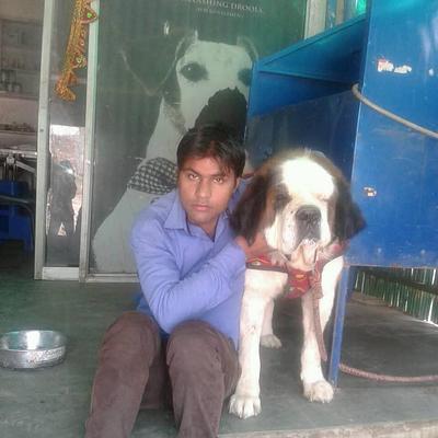 Manoj sharma dog trainer and walkers