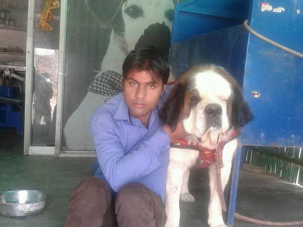 Manoj sharma dog trainer and walkers