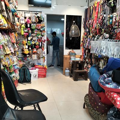 Chien N Chat Pet Shop & Spa