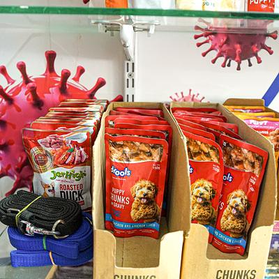 Pet healthcare & grooming center