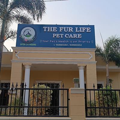 The Fur Life Pet Care