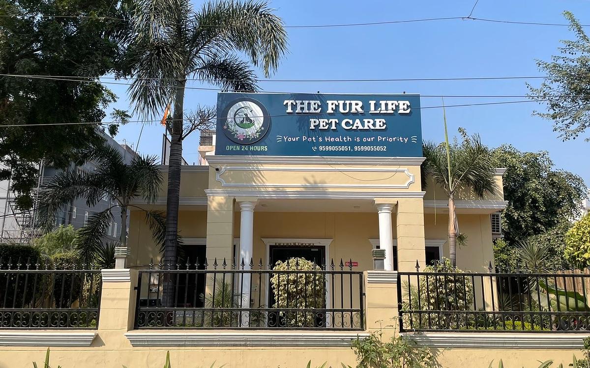 The Fur Life Pet Care