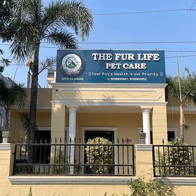 The Fur Life Pet Care