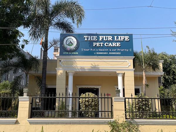 The Fur Life Pet Care