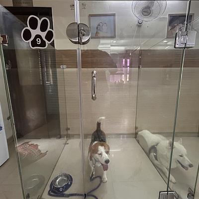 The Fur Life Pet Care