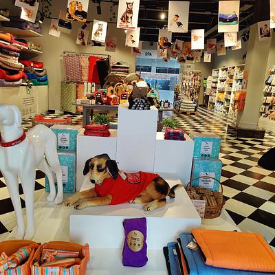 Heads Up For Tails Pet Supply Store | DLF Galleria Market, Gurgaon