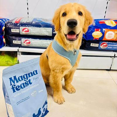 JUSTDOGS | Sector 66, Gurugram - Pet Store & Spa
