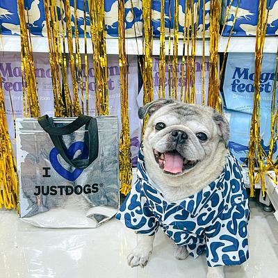 JUSTDOGS | Sector 66, Gurugram - Pet Store & Spa