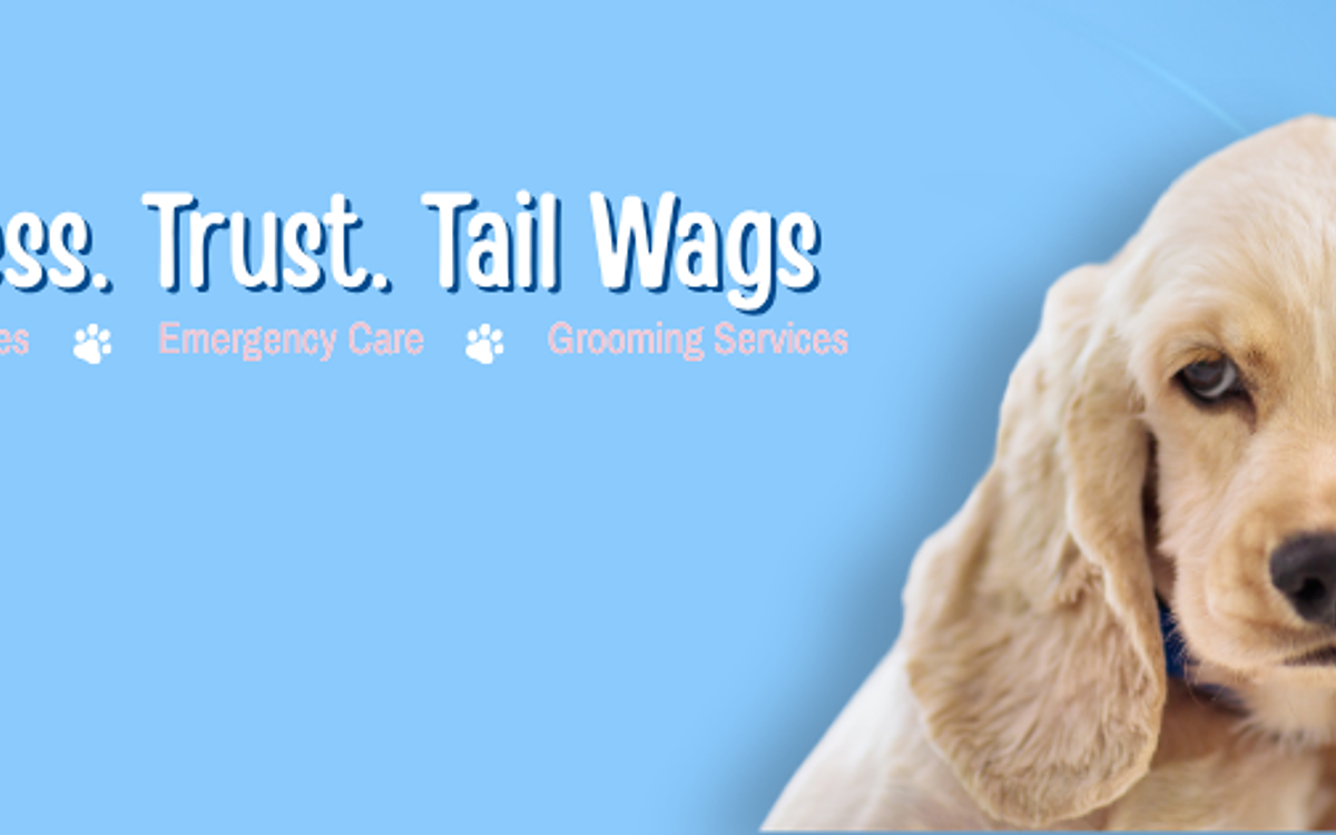 Wag N Wander | Pet Clinic & Grooming