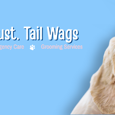 Wag N Wander | Pet Clinic & Grooming