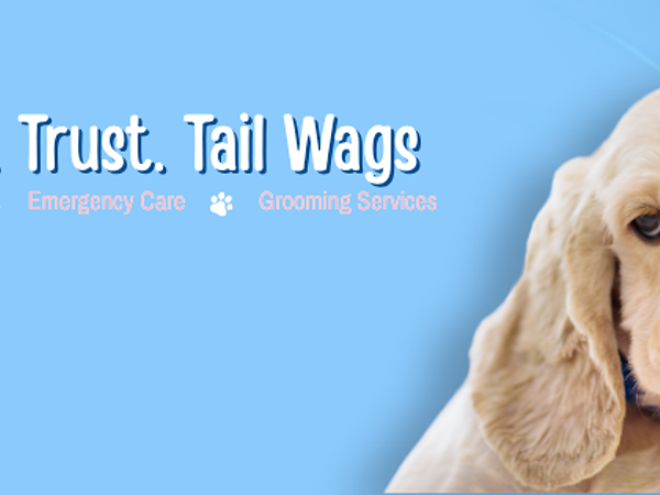 Wag N Wander | Pet Clinic & Grooming
