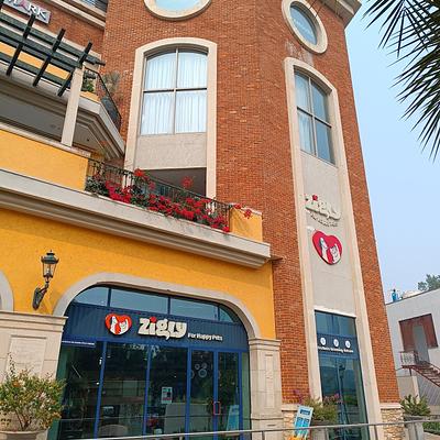 Zigly - Pet Hospital, Pet Grooming & Pet Products | AIPL, Sector-66, Gurgaon