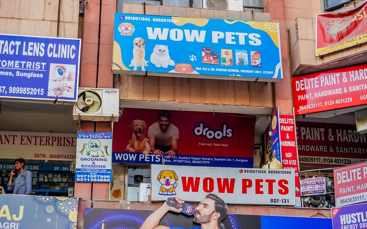 Wow Pets