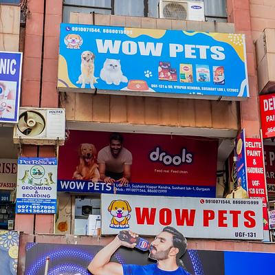 Wow Pets