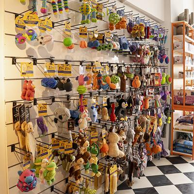 Heads Up For Tails Pet Store & Spa - M3M 65th Avenue, Gurgaon