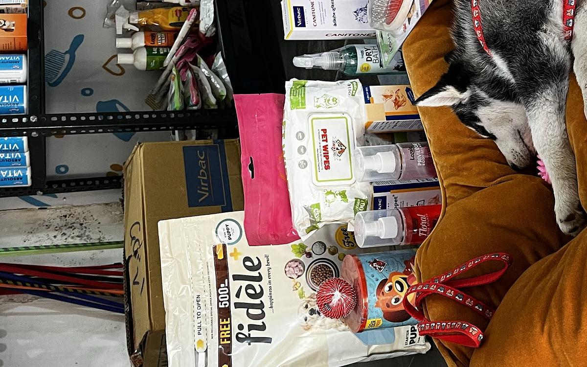 PET SAGA - GROOMING AND CLINIC