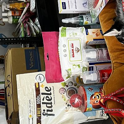 PET SAGA - GROOMING AND CLINIC