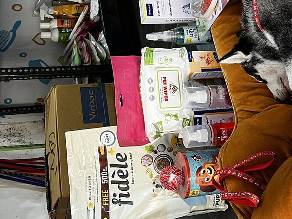 PET SAGA - GROOMING AND CLINIC