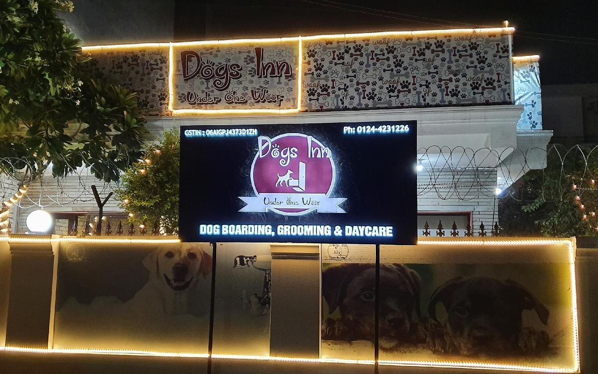 Dogs Inn