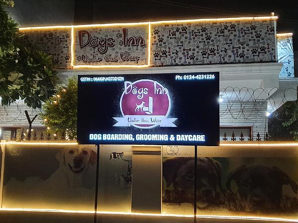 Dogs Inn
