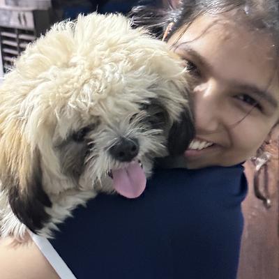 PET SAGA - GROOMING AND CLINIC