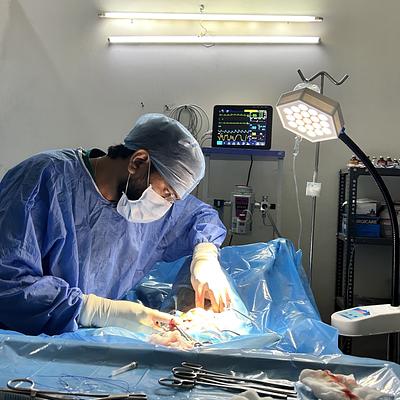 Blue Coat Vet – Pet Clinic in Sushant Lok