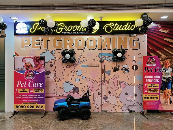 Pet Grooming Studio-Pet Spa, Dog & Cat Grooming Service