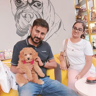 Groom Canine- The Pet Studio