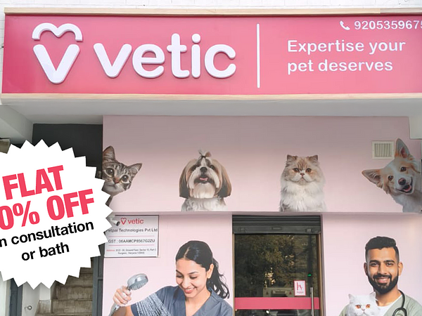 Vetic Pet Clinic Sec-15 Gurgaon