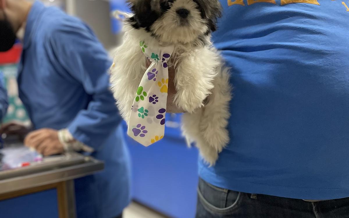 SJS Pet Care and Clinic