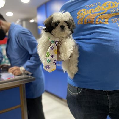 SJS Pet Care and Clinic