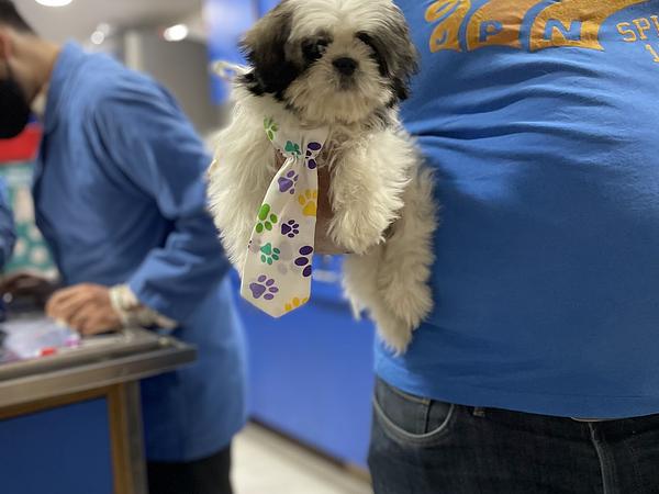 SJS Pet Care and Clinic