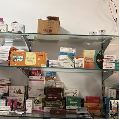 Vetify Animal Clinic Sec-7 Gurgaon