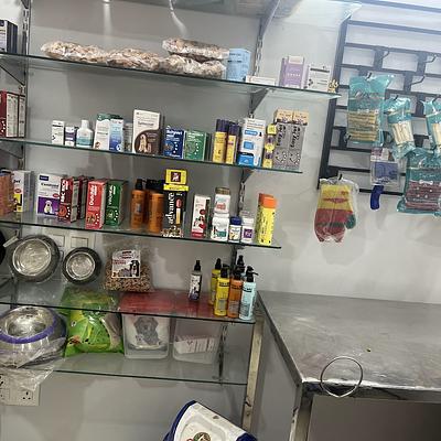Vetify Animal Clinic Sec-7 Gurgaon