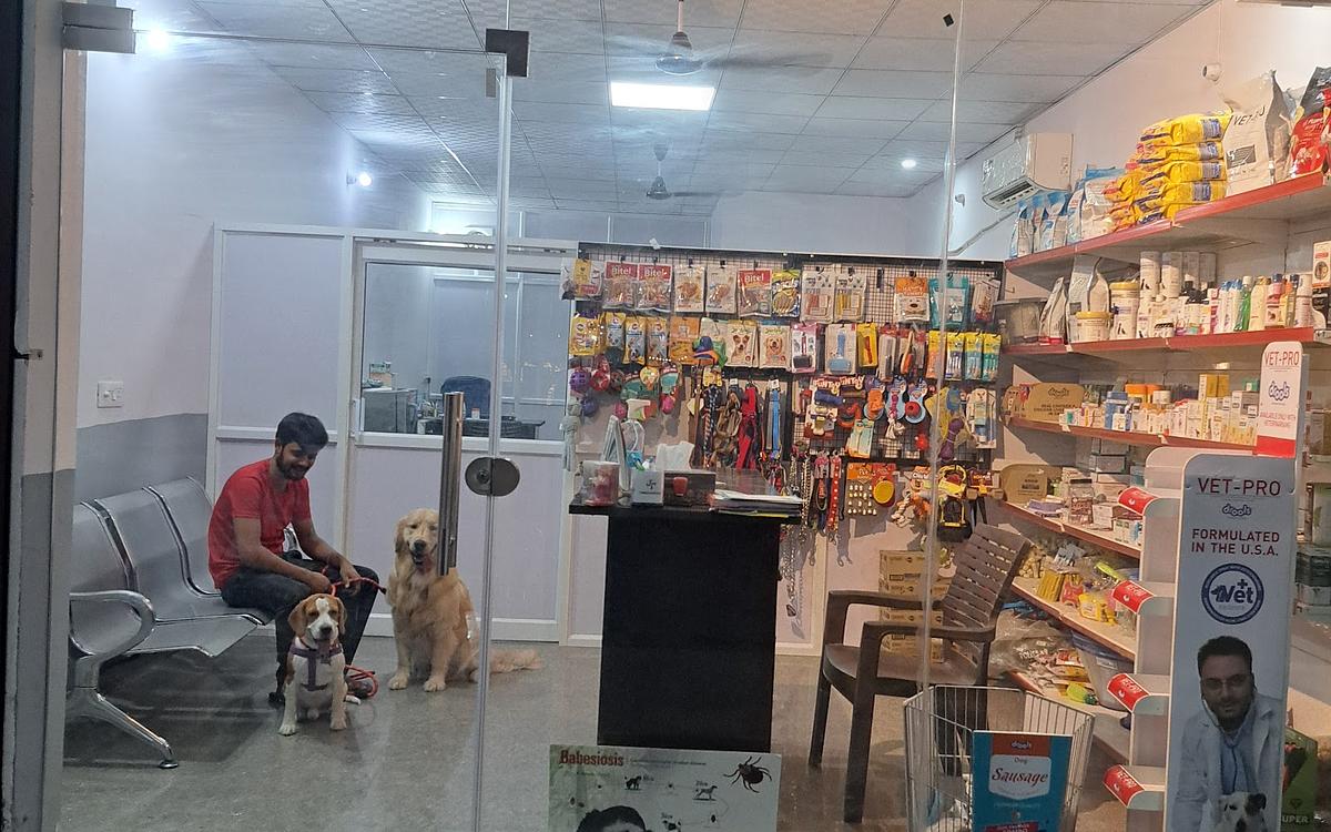 JP Pet Clinic
