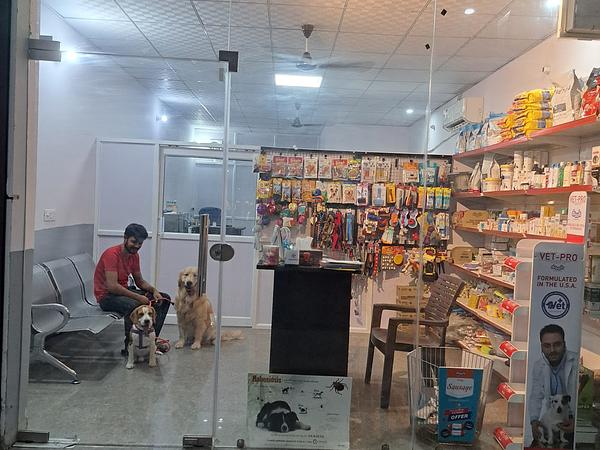 JP Pet Clinic