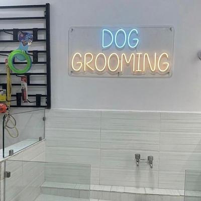 Vetify Animal Clinic Sec-7 Gurgaon