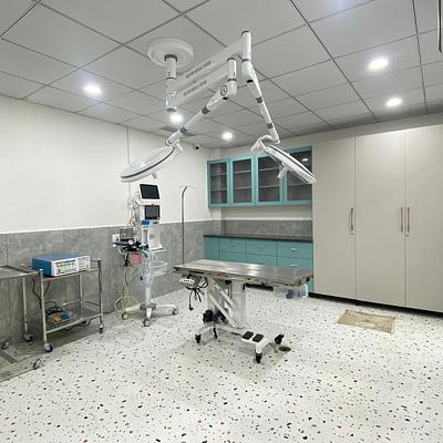 The Élite Vets Advanced Petcare
