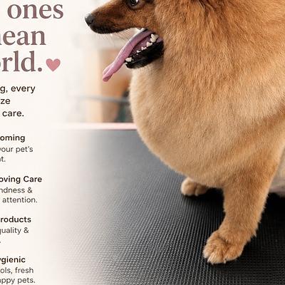 Pet Groomimg Spa And Vet by Sniff & Snooz Gurgaon Sec 65 open now || Pet Boarding