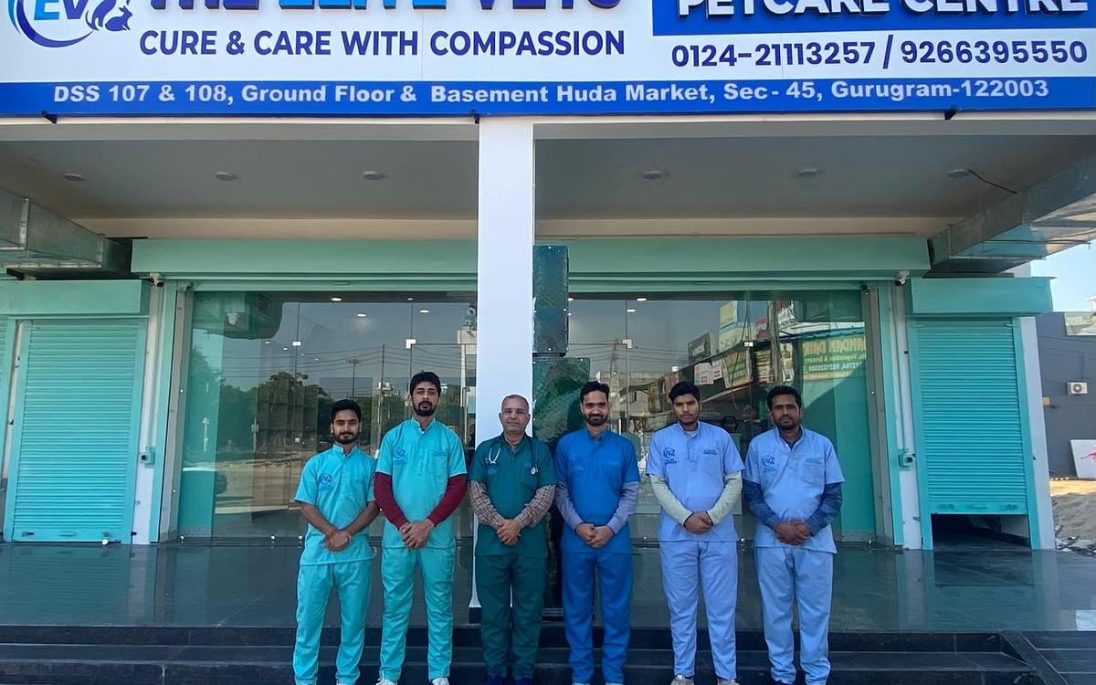 The Élite Vets Advanced Petcare