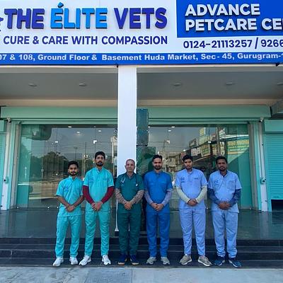 The Élite Vets Advanced Petcare