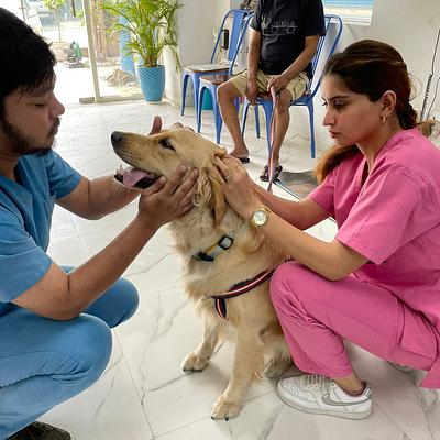 Vet Planet