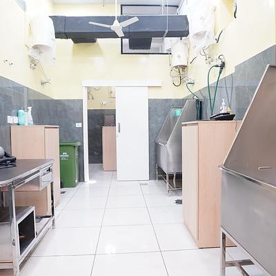 Vetic Pet Clinic Galleria Gurgaon
