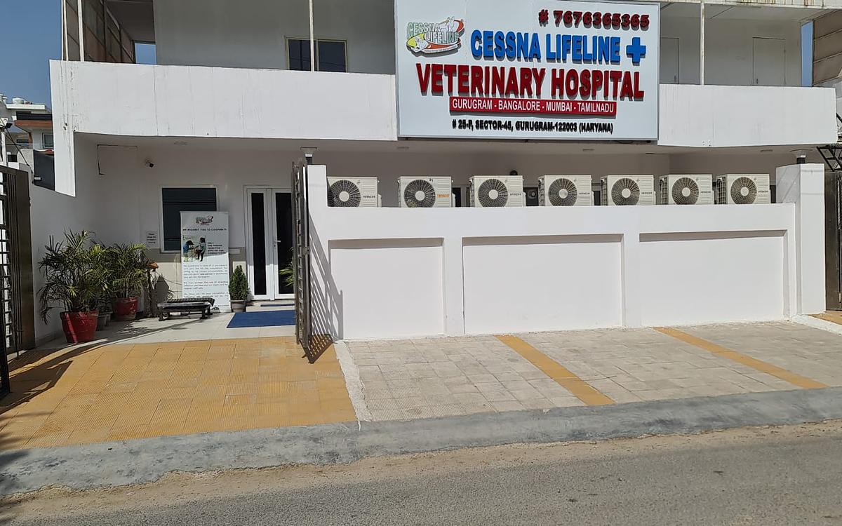Cessna Lifeline Veterinary Hospital, Gurugram
