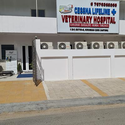 Cessna Lifeline Veterinary Hospital, Gurugram