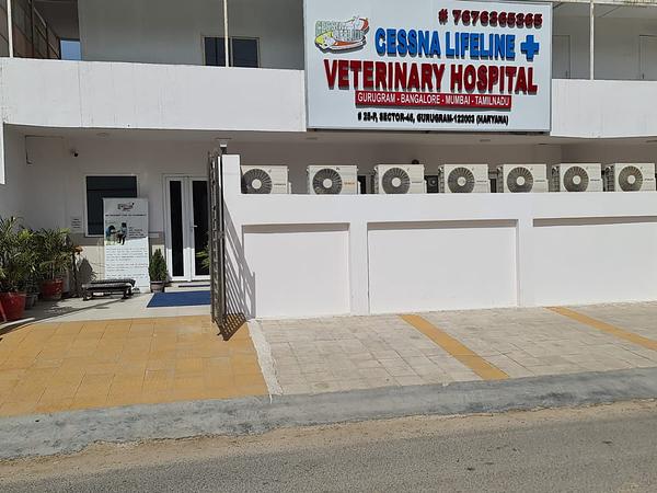 Cessna Lifeline Veterinary Hospital, Gurugram