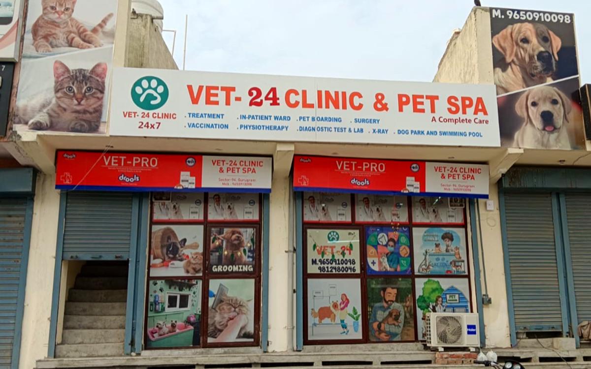 VET-24 CLINIC & PET SPA