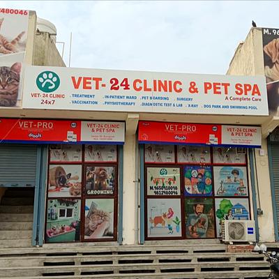 VET-24 CLINIC & PET SPA