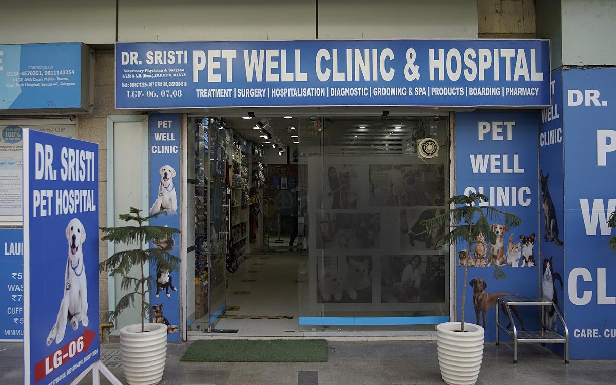 Dr Sristi Pet Well Clinic & Hospital