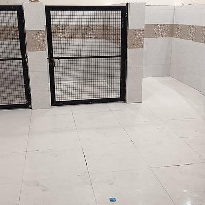 VET-24 CLINIC & PET SPA